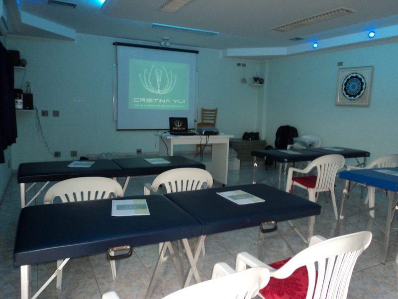 Curso Toque Integrativo Somato Emocional® – T.I.S.E.® · 2013