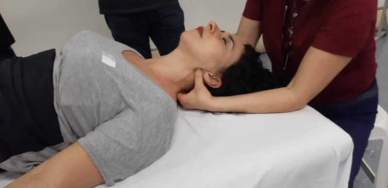 Curso Toque Integrativo Somato Emocional® – T.I.S.E.® · 2019